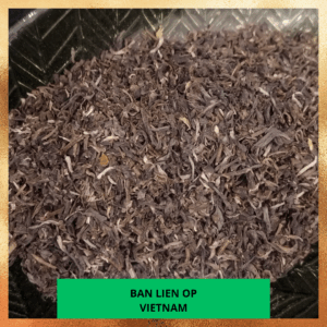 Thé vert Bio - Vietnam - Ban Lien - 100 gr