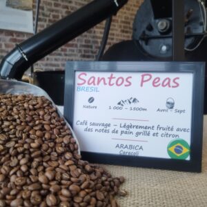 Arabica - Santos Peas - Bresil