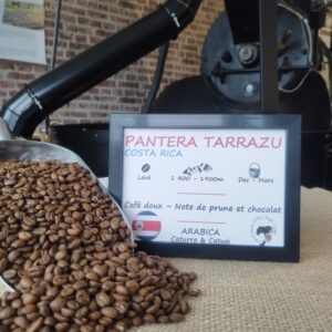 Arabica - Panterra Tarrazu - Costa Rica