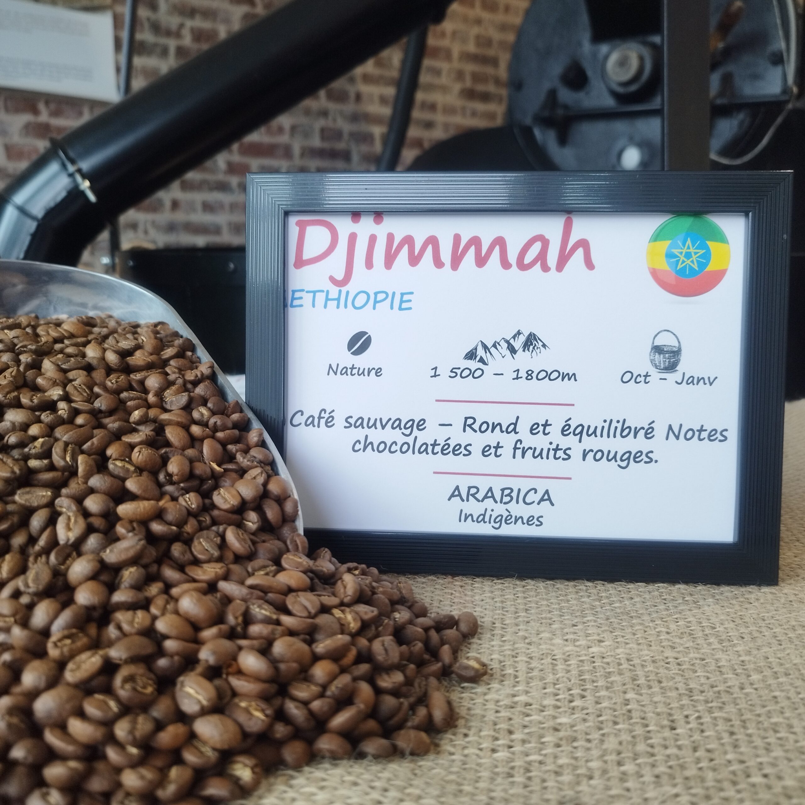 Arabica - Éthiopie Djimmah