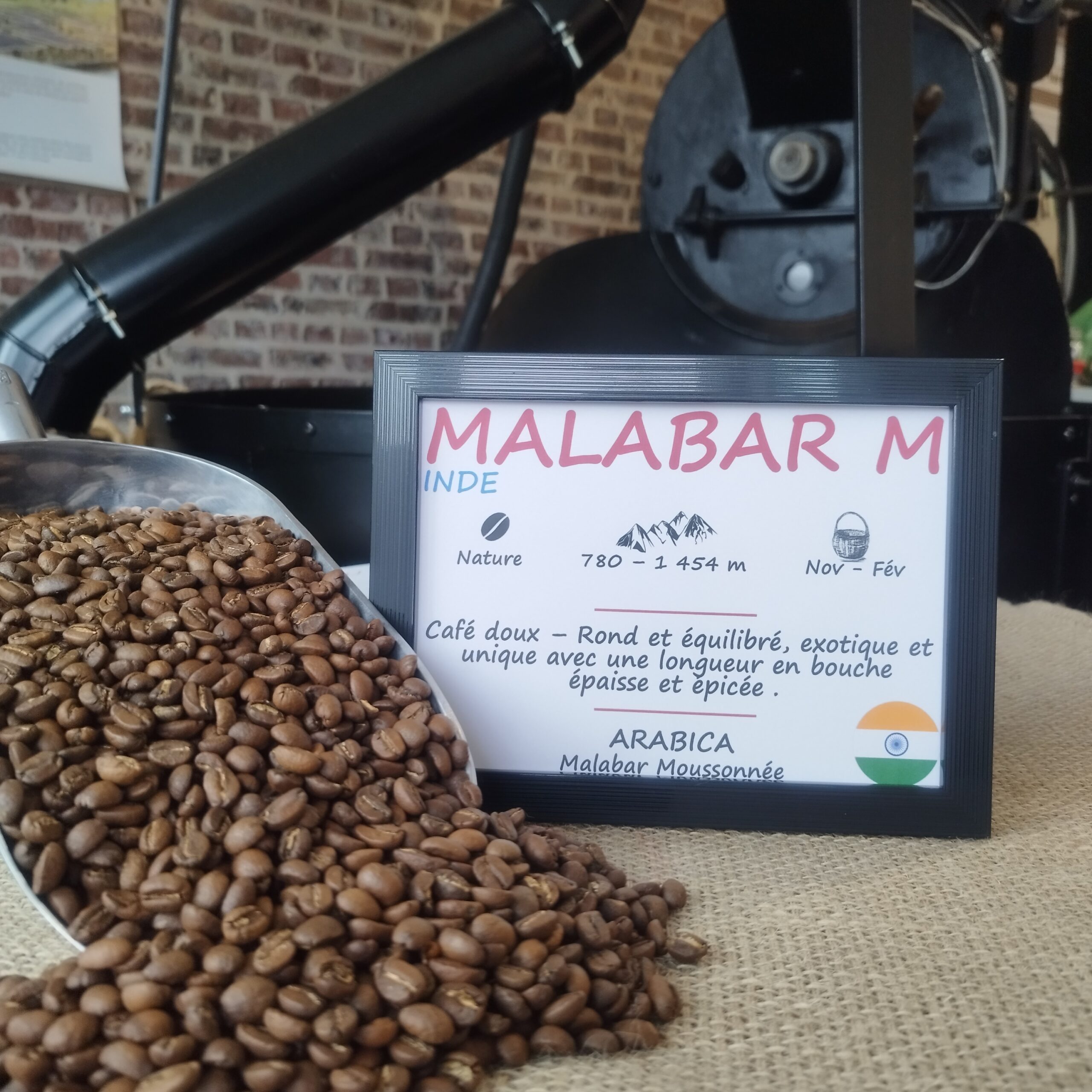 Arabica - Malabar Moussonné